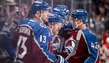 Avalanche-Wild: Early observations, potential storylines