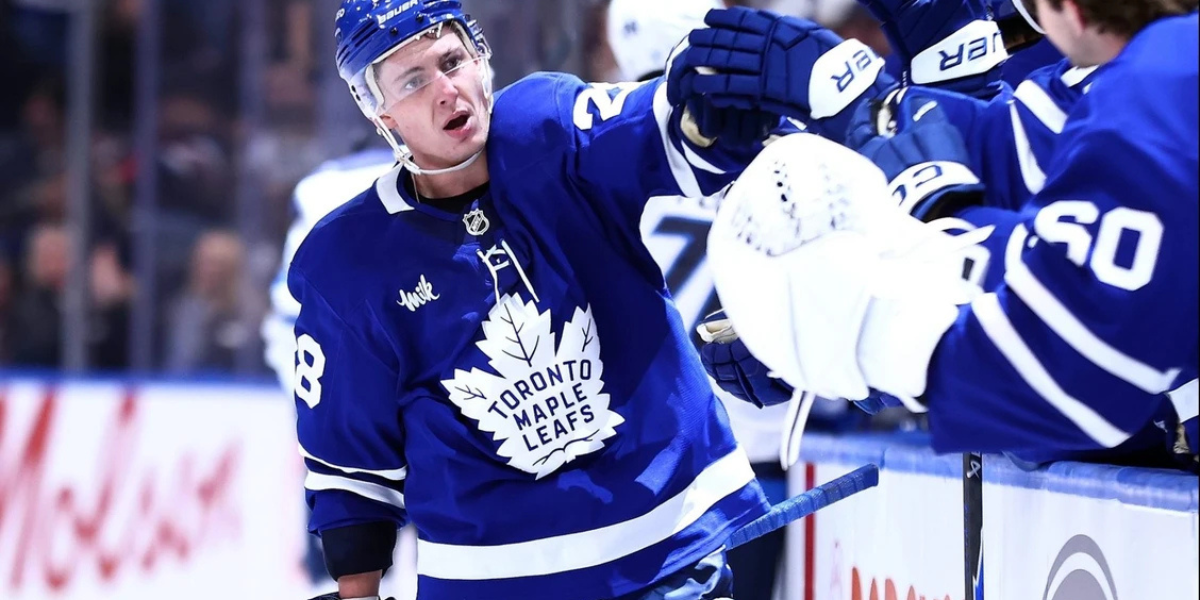 Toronto Maple Leafs defenseman Troy Stecher