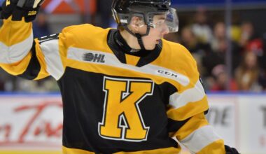 Introducing the Newest Nashville Predator: Vitali Pinchuk - The Hockey Writers - Nashville Predators