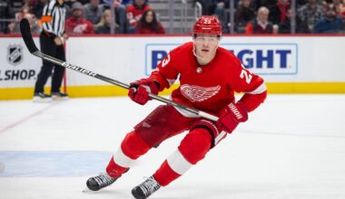 New Role For Red Wings Raymond