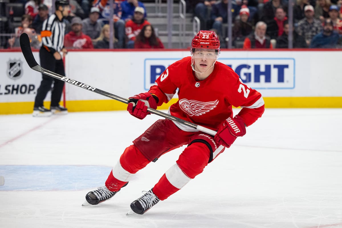 New Role For Red Wings Raymond