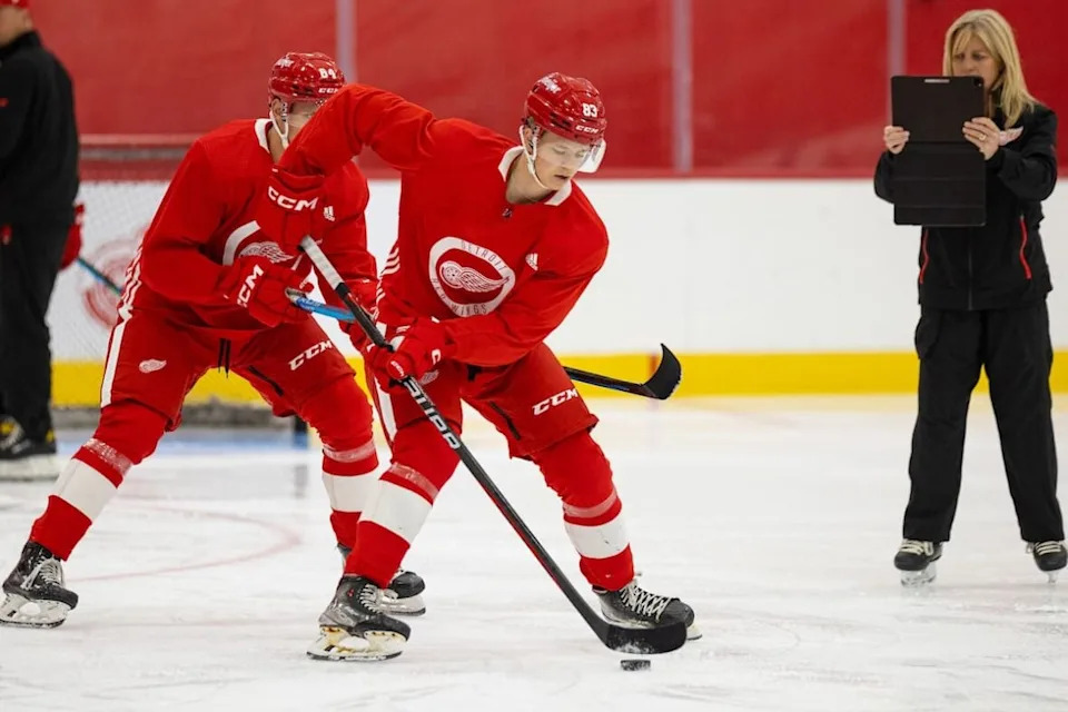 Noah Dower-Nilsson, Red Wings prospect