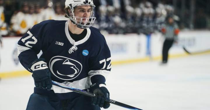 Toronto Maple Leafs win NHL draft lottery