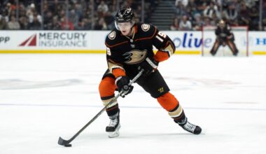 Ducks' Terry needs hip surgery; start of season in question
