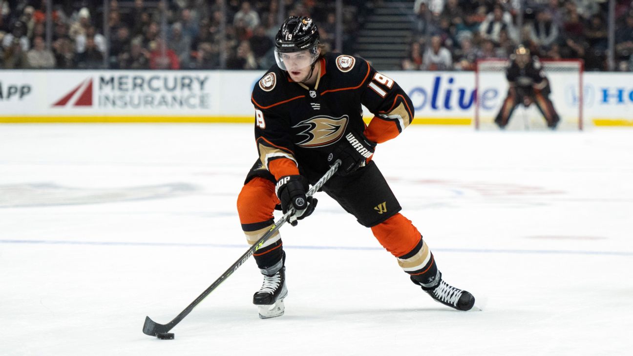 Ducks' Terry needs hip surgery; start of season in question