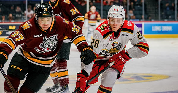 Griffins, Brandsegg-Nygard