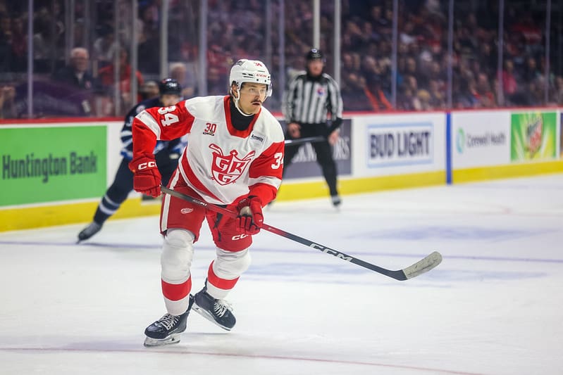 On Second Thought, Maybe Tralmaks Isn’t Coming Back to Red Wings