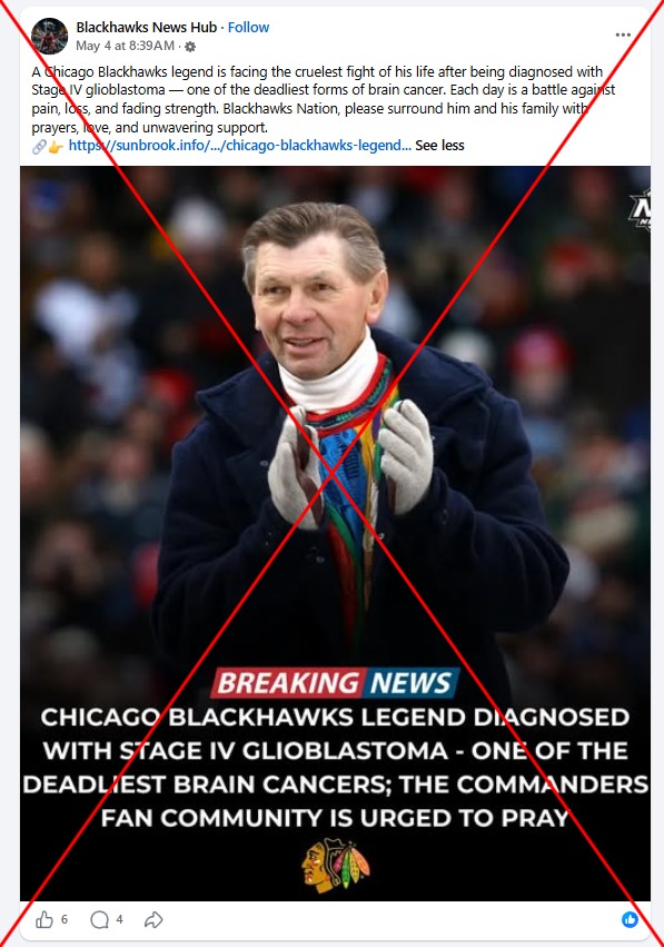 Meta removes fake hockey fan pages amid playoffs