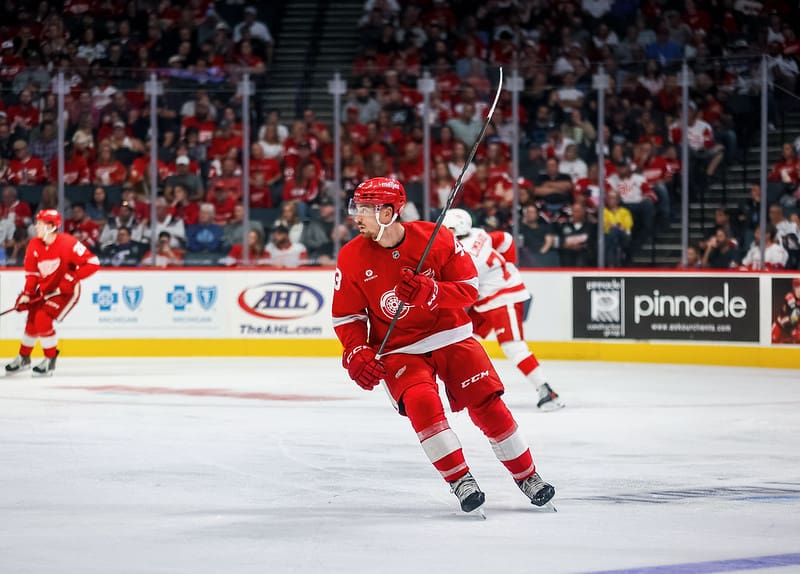 Red Wings Report Card: Leonard Could Prove Valuable Next Season