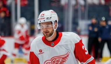 No Qualifying Offer for Feisty Red Wings Prospect