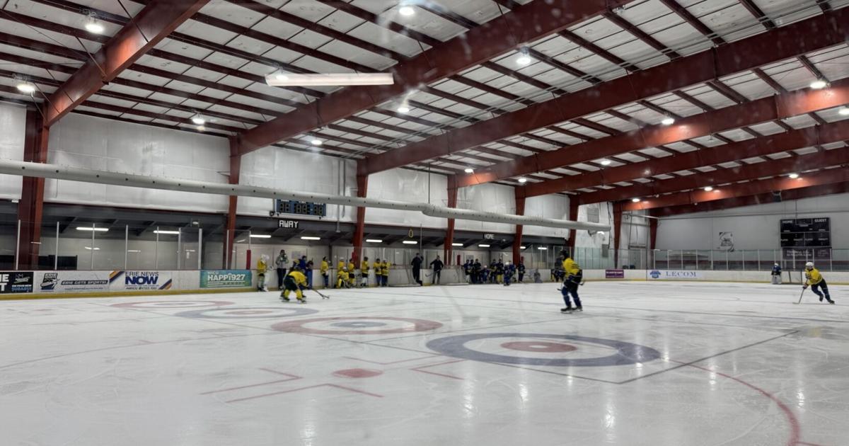 Cultural Exchange Hockey Camp Connects Athletes Across Borders | News