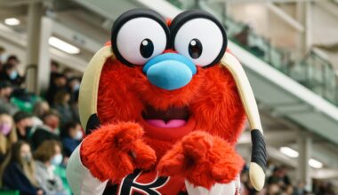 Find Belly around the Bay of Quinte through the Belleville Sens new Community Calendar – Belleville Sens