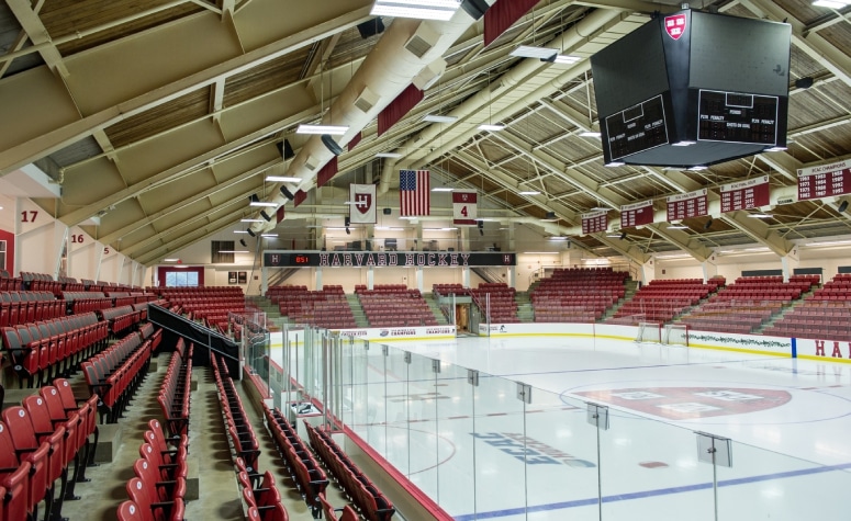 What I'm hearing on Harvard: Candidates and interview timelines