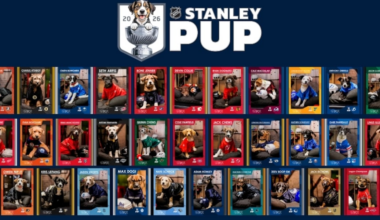 Meet the dog representing the St. Louis Blues in the ‘Stanley Pup’