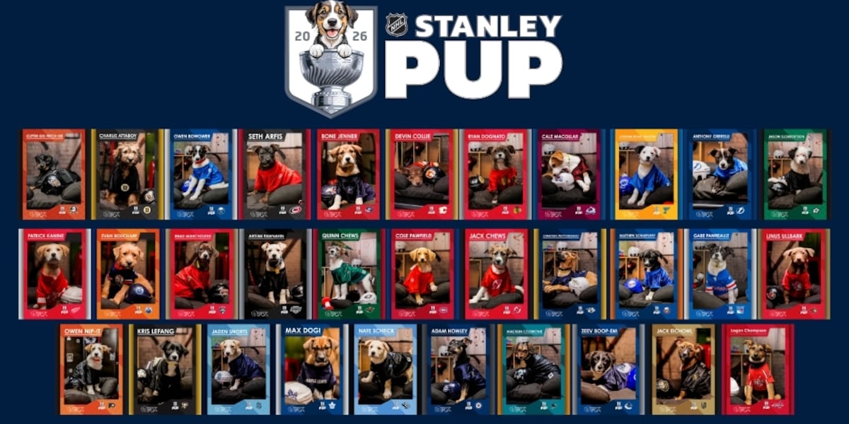 Meet the dog representing the St. Louis Blues in the ‘Stanley Pup’