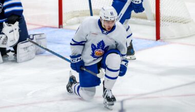 Toronto Marlies Just Won a Championship and Showed the Maple Leafs Something Important - The Hockey Writers - Toronto Maple Leafs