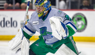 ECHL: Three New Players to See in Worcester With Affiliation Change