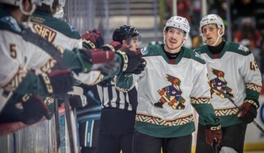 Tucson Roadrunners Hockey