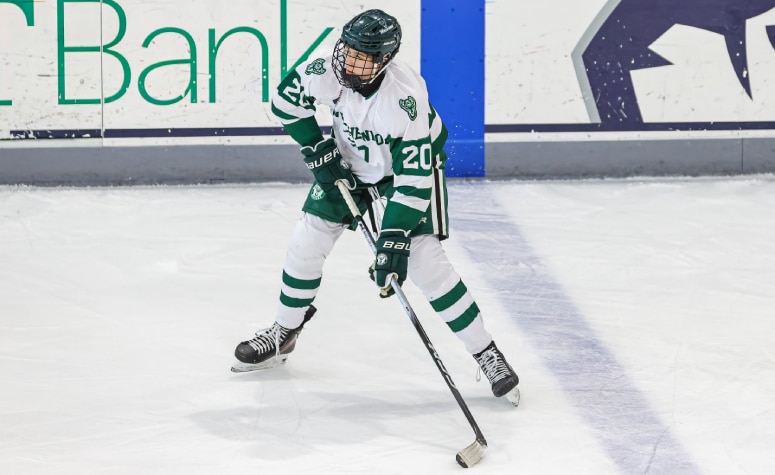 20 New England '10 defenders to watch for 2026 QMJHL Draft