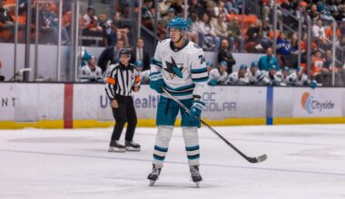 Morehouse on Why Sharks Chose Ravensbergen, Wang & Chernyshov (+)
