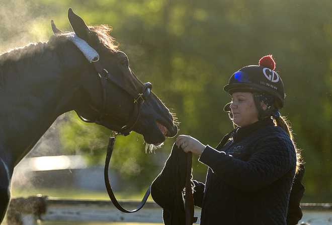 158th Belmont Stakes - Previews SARATOGA SPRINGS, NEW YORK - JUNE 04: Golden Tempo is handled by his trainer Cherie DeVaux prior to the 158th running of the Belmont Stakes at Saratoga Race Course on June 04, 2026 in Saratoga Springs, New York. (Photo by Al Bello/Getty Images)