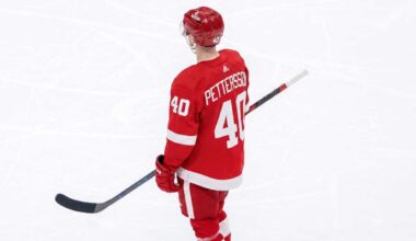 A composite graphic image of Vancouver Canucks center Elias Pettersson in a custom Detroit Red Wings #40 jersey.
