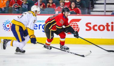 Oct 19, 2018; Calgary, Alberta, CAN; Calgary Flames center Dillon Dube (29) controls the puck against the Nashville Predators during the first period at Scotiabank Saddledome. Mandatory Credit: Sergei Belski-USA TODAY Sports