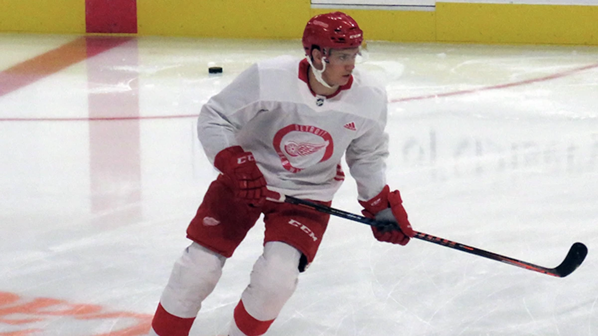 Mathieu Bizier at the Detroit Red Wings