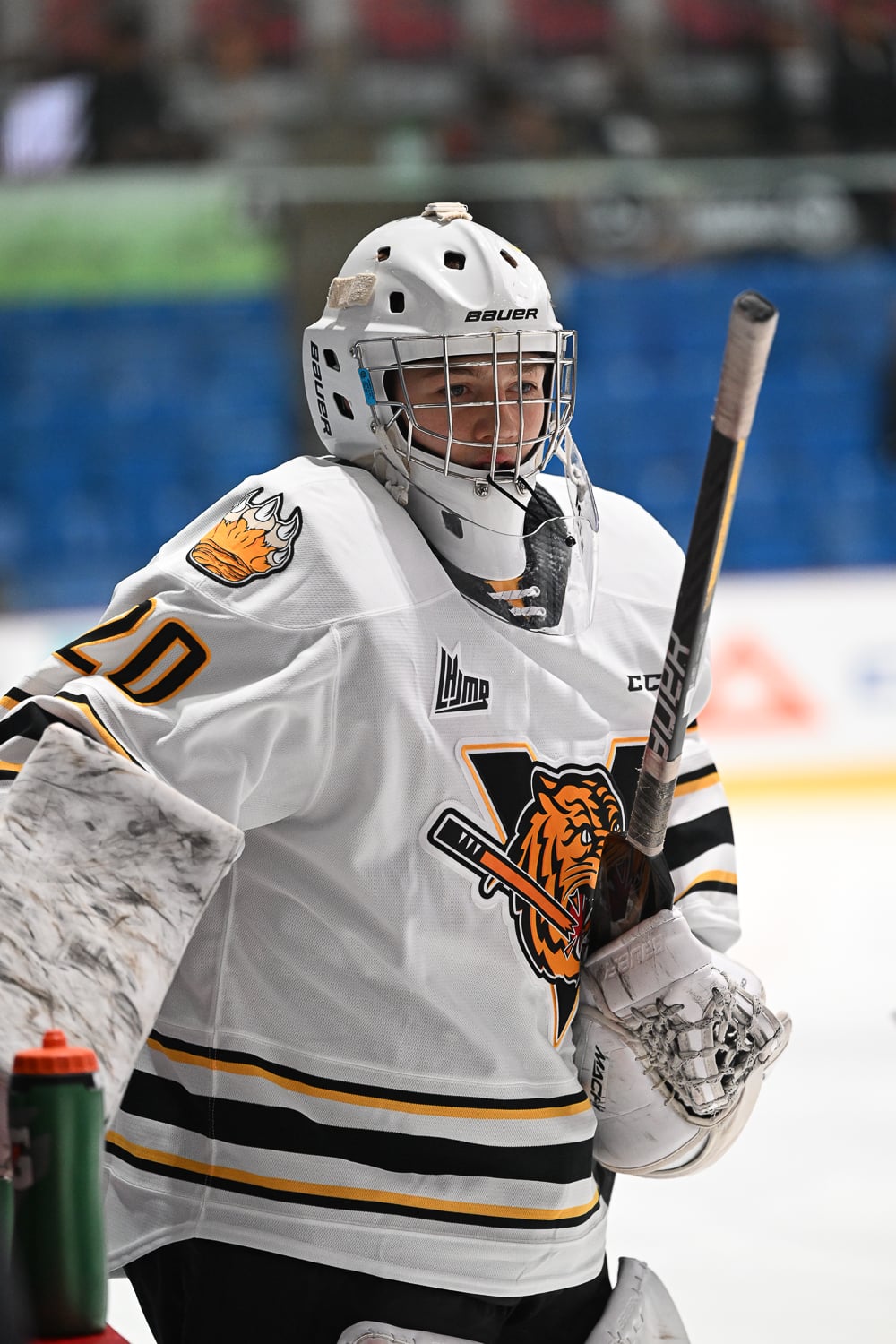 Gabriel D’Aigle Victoriaville Tigres