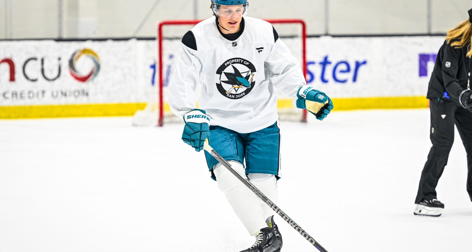BREAKING: Sharks Sign Ivar Stenberg