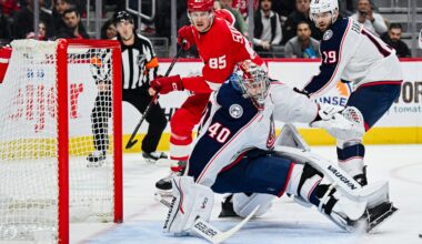 Red Wings Sign Backup Goaltender