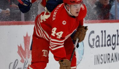 Swedish Pair Could Have Big Year in Grand Rapids