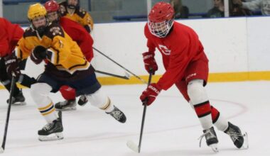 Photo gallery of Grosse Ile and Gibraltar Carlson ice hockey in ice hockey summer league action – The News Herald