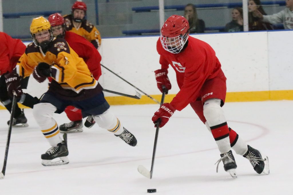 Photo gallery of Grosse Ile and Gibraltar Carlson ice hockey in ice hockey summer league action – The News Herald