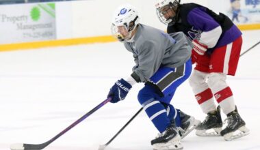 Carlson and Grosse Ile ice hockey teams building towards future during summer league – The News Herald