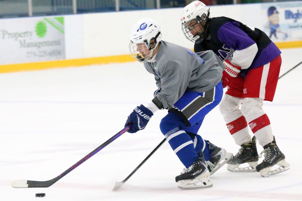 Carlson and Grosse Ile ice hockey teams building towards future during summer league – The News Herald