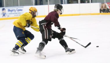 Photo gallery of Trenton vs Riverview Gabriel Richard in ice hockey summer league action – The News Herald