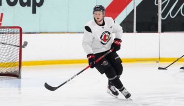 Hoyt Stanley doesn’t shy away from hard work – Belleville Sens