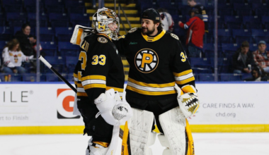 Boston Bruins Depth Between The Pipes