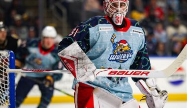 Walleye's Gylander signs two-way contract with Red Wings organization