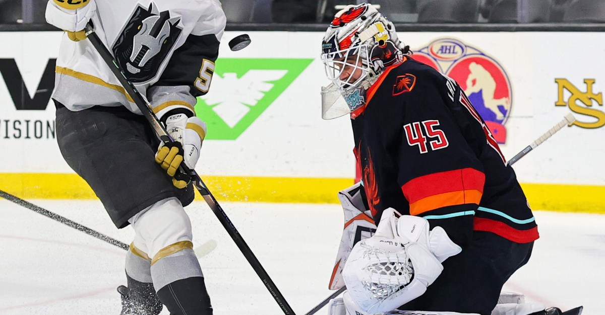 Where Michigan Hockey alums are playing professionally outside the NHL