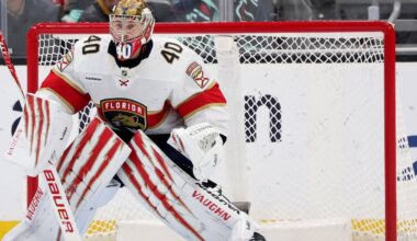 Red Wings sign Daniil Tarasov to backup John Gibson