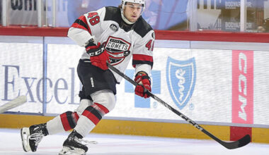 Red Wings Organization Adds Another Bertuzzi