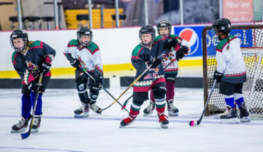 As cost of youth sports grows, Congress eyes regulation of private equity