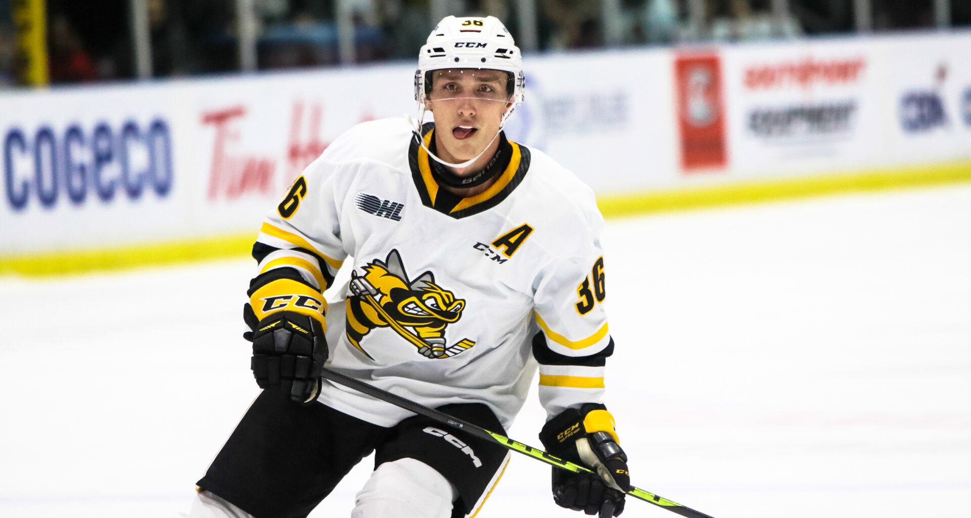 Montreal Canadiens sign F Sasha Pastujov to one-year, two-way contract