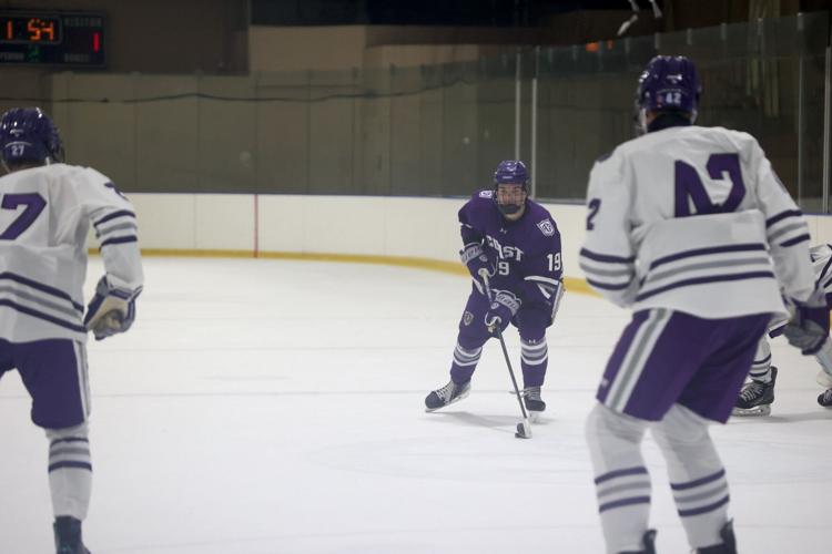 Hockey skaters