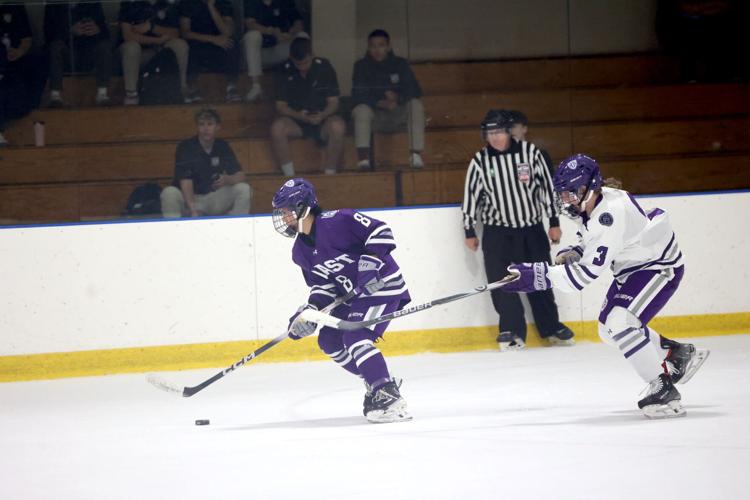 Hockey skater