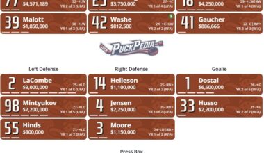 Anaheim Ducks Depth Chart