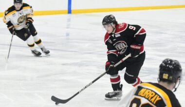 Toronto Maple Leafs News & Rumours: Gudmundsson, Moldenhauer & Prospects Facing Different Tests - The Hockey Writers - Toronto Maple Leafs