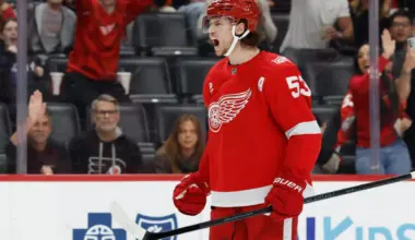 Improved Red Wings D Could Save Season